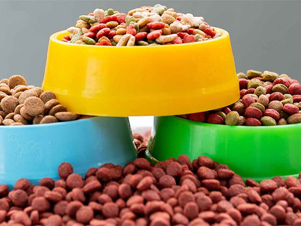 pet
