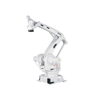 Multi-functional Industrial Robot IRB-460